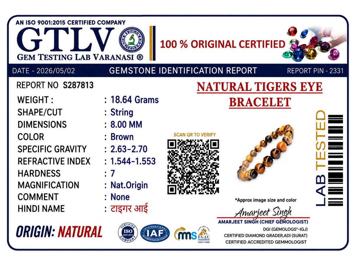 Natural Tiger's Eye Bracelet | Confidence, Protection & Success Crystal Bracelet