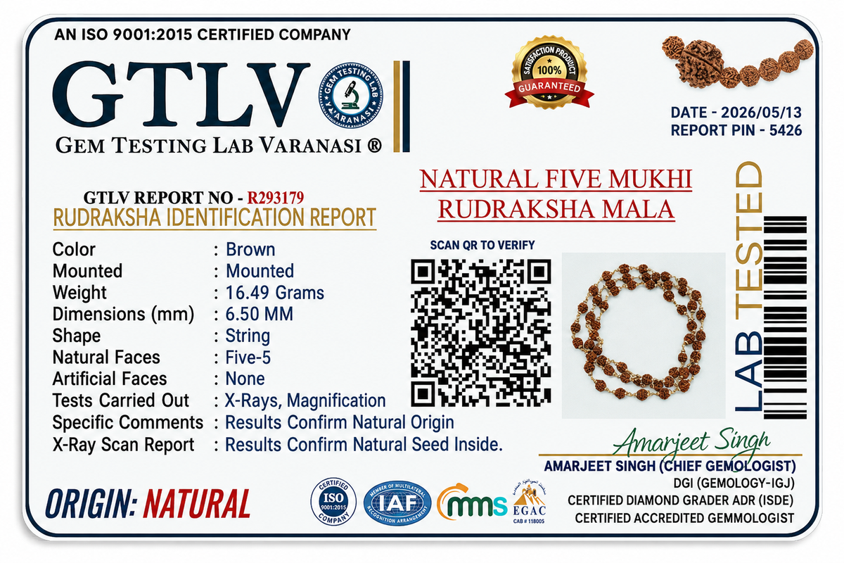 Five Mukhi Rudraksha Mala with Metal Cap | Sacred 5 Mukhi Rudraksha Mala for Spiritual Growth & Meditation