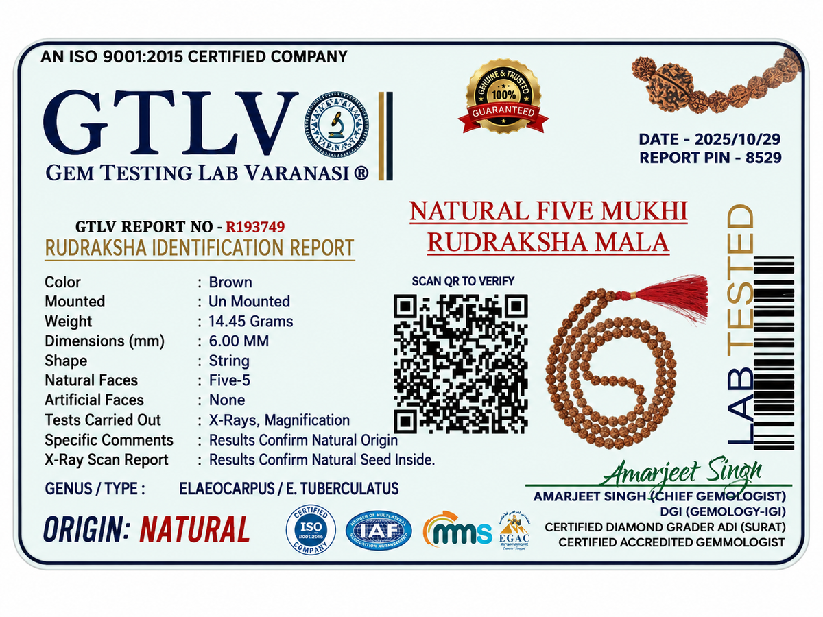 Five Mukhi Rudraksha Mala White 6MM | Natural 108 Beads Japa Mala for Meditation, Prayer & Spiritual Growth