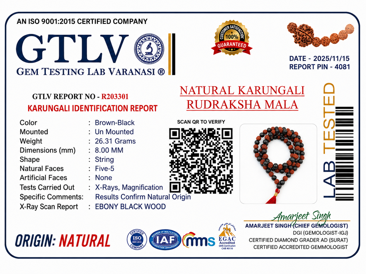 Karungali Rudraksha Mala | Sacred Karungali Wood & Rudraksha 108 Beads Mala for Protection, Meditation and Spiritual Growth