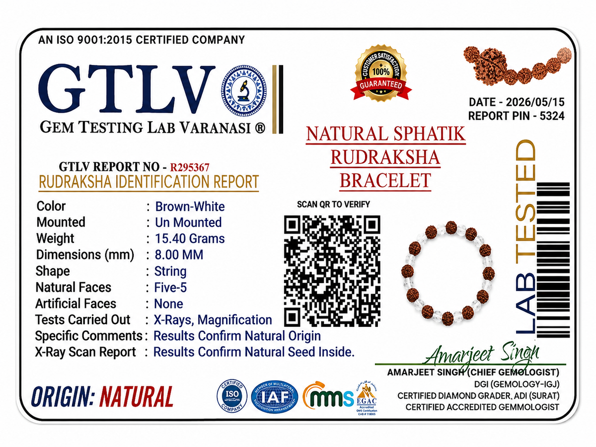 Sphatik Rudraksha Bracelet | Natural Crystal Quartz & Rudraksha Bracelet for Peace and Positivity