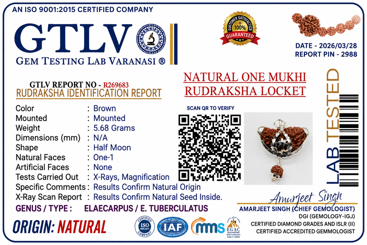 Natural 1 Mukhi Rudraksha Locket for Spiritual Growth, Clarity & Divine Energy | Authentic & Energized | Rudriva