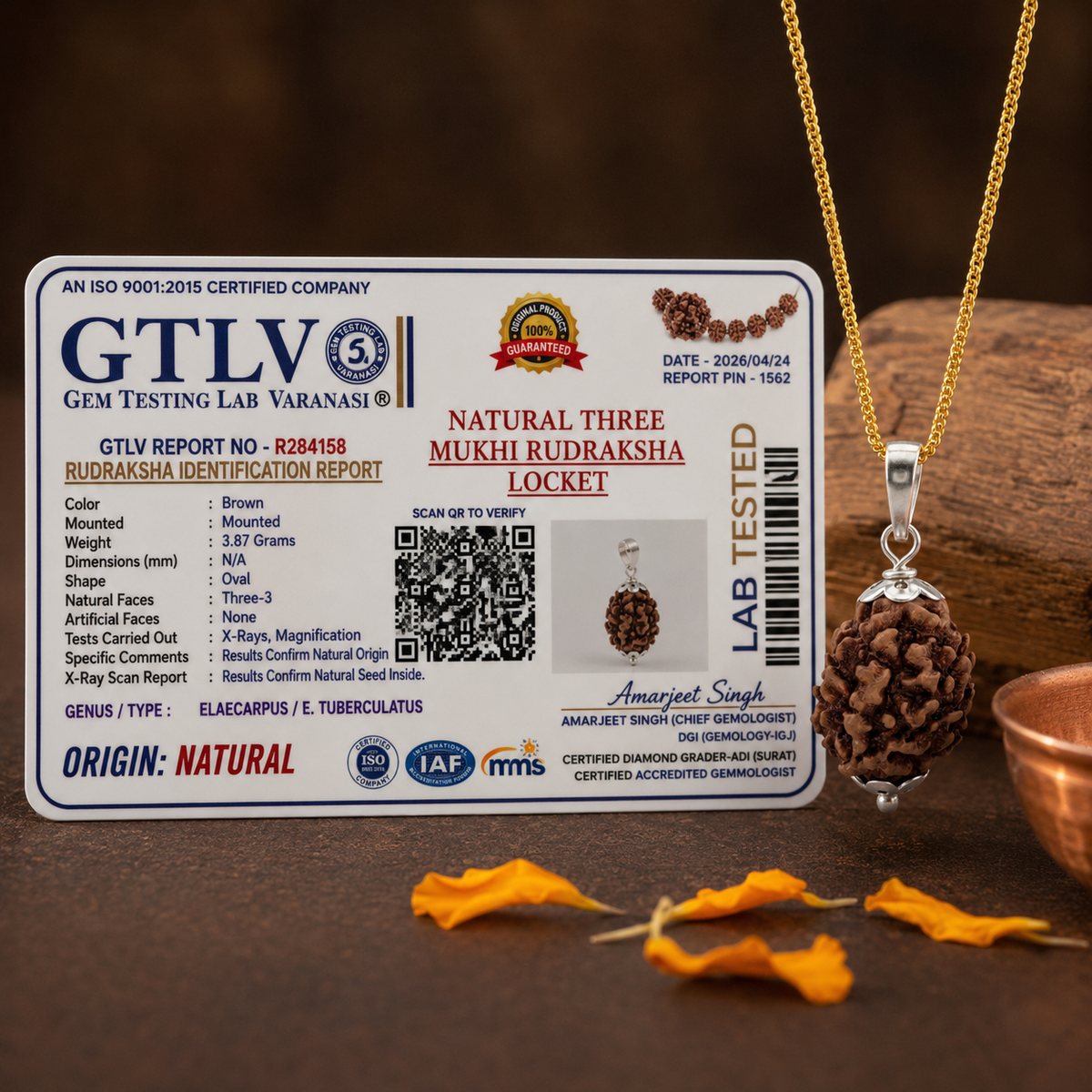 Natural 3 Mukhi Rudraksha Locket for Confidence, Positivity & Inner Strength | Authentic & Energized | Rudriva