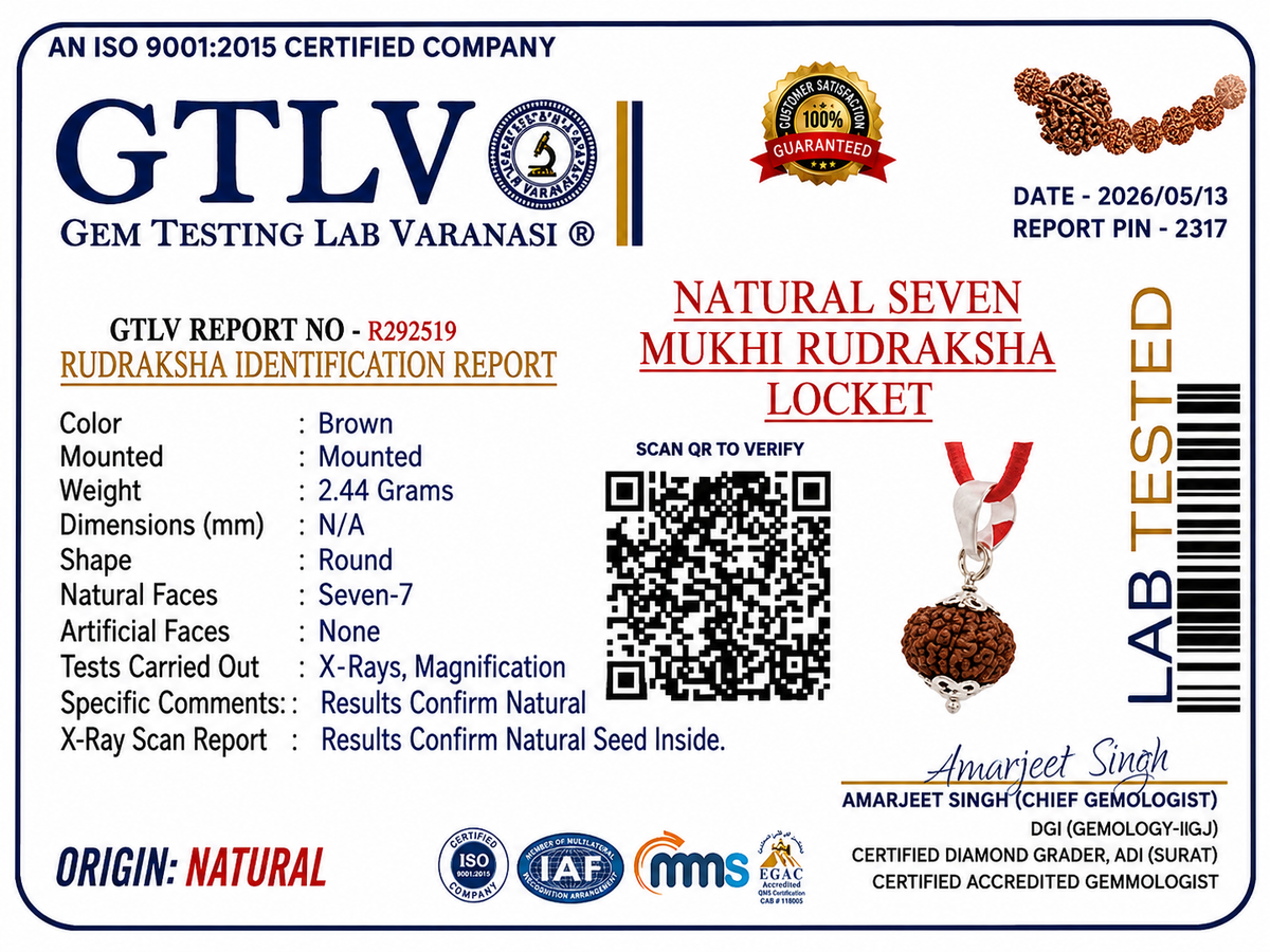 Natural 7 Mukhi Rudraksha Locket for Wealth, Career Growth & Positive Energy | Authentic & Energized | Rudriva