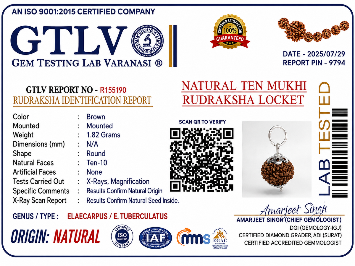 Natural 10 Mukhi Rudraksha Indonesia | Authentic Indonesian Dashamukhi Rudraksha Pendant for Protection, Peace and Spiritual Growth