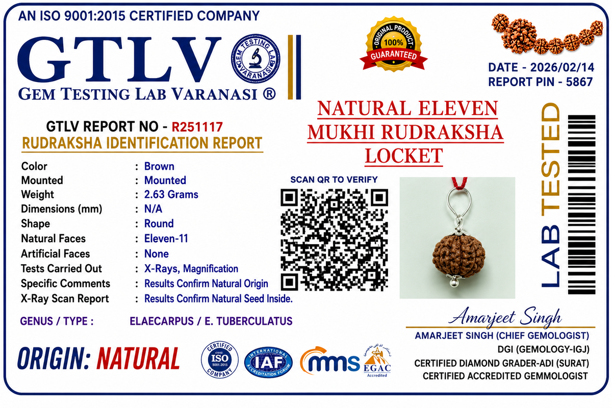 Natural 11 Mukhi Rudraksha Locket for Courage, Protection & Spiritual Strength | Authentic & Energized | Rudriva