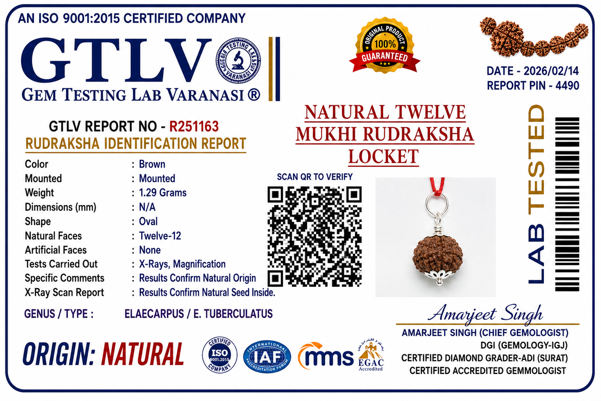Natural 12 Mukhi Rudraksha Locket for Leadership, Confidence & Positive Energy | Authentic & Energized | Rudriva