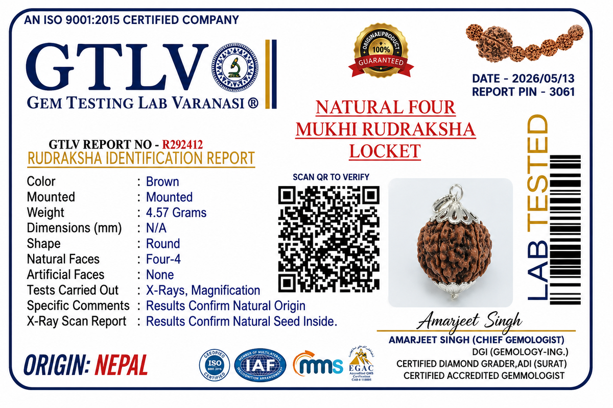 Nepali 4 Mukhi Rudraksha Locket for Wisdom, Focus & Communication | Authentic & Energized | Rudriva