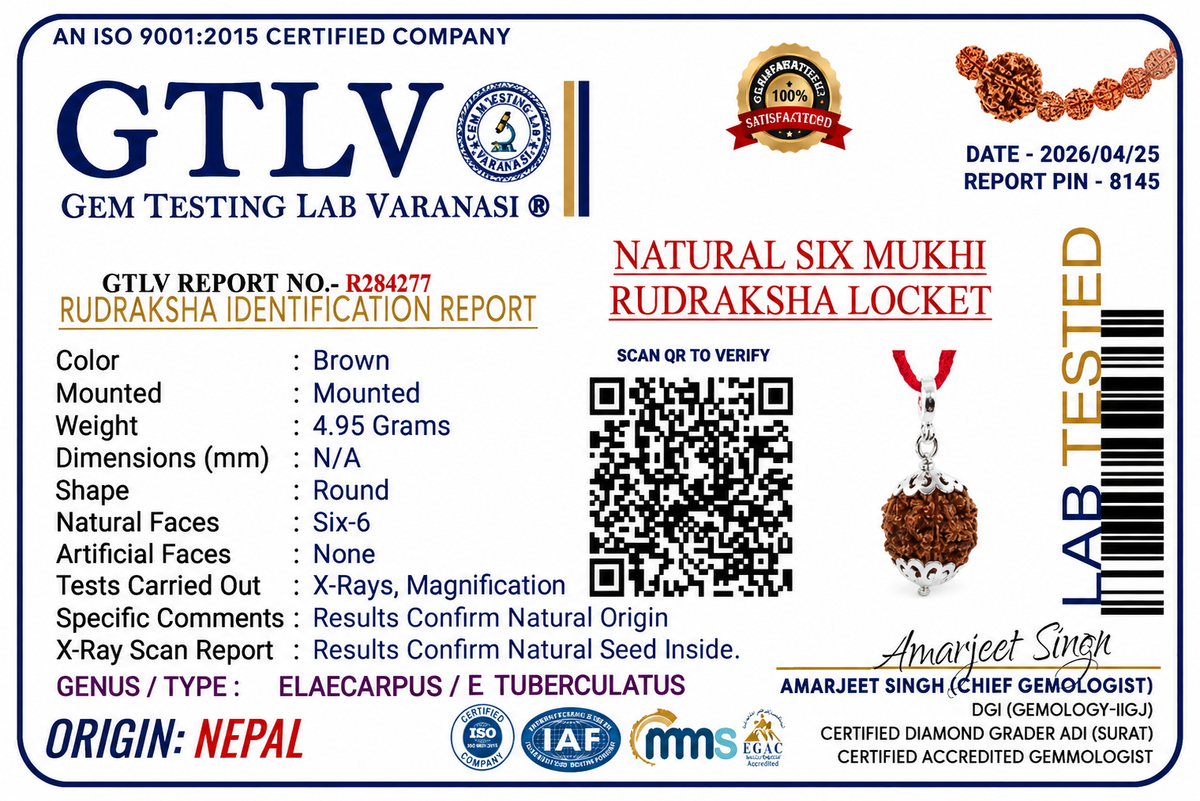 Nepali 6 Mukhi Rudraksha Locket for Confidence, Focus & Emotional Balance | Authentic & Energized | Rudriva