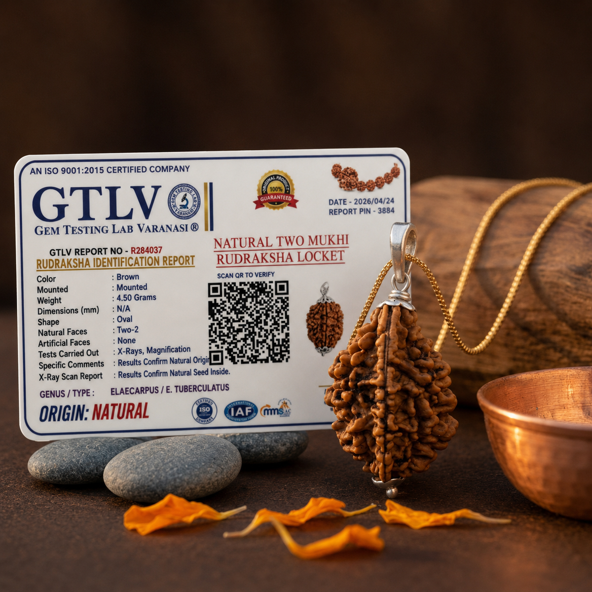 Rudriva Natural 2 Mukhi Rudraksha Locket Pendant | Original & Energized Rudraksha for Love, Relationship Harmony, Emotional Balance & Peace | Unisex