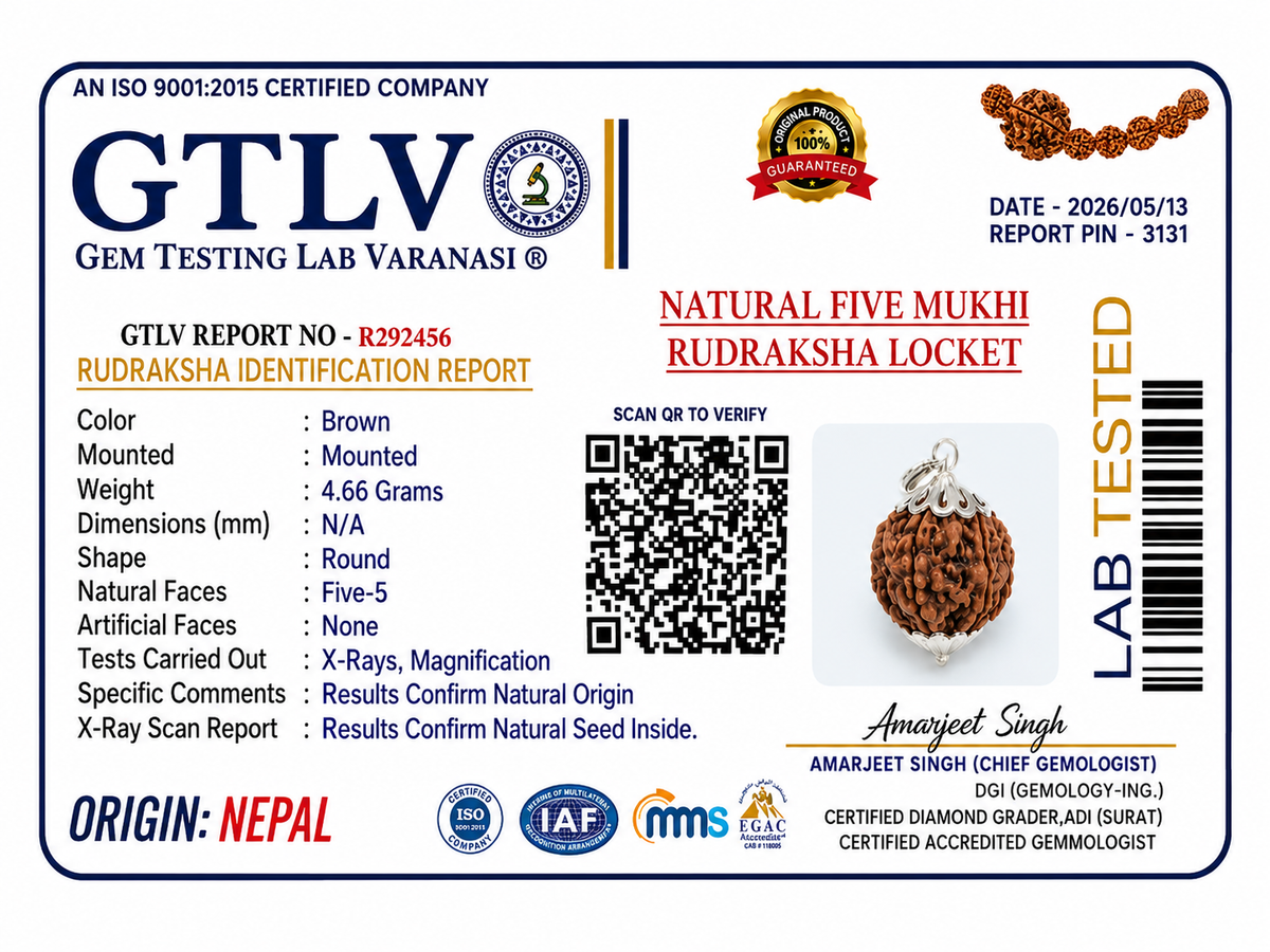 Nepali 5 Mukhi Rudraksha Locket for Peace, Focus & Positive Energy | Authentic & Energized | Rudriva