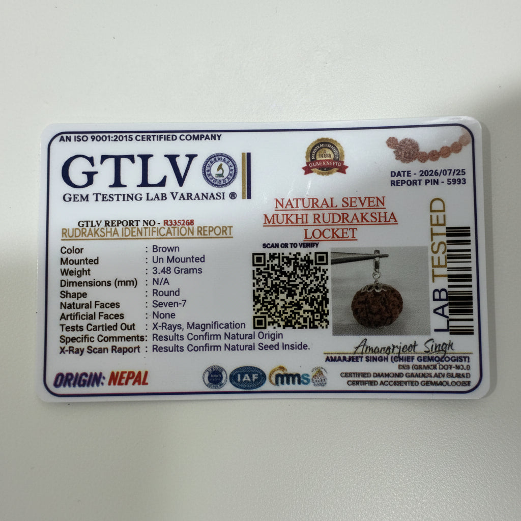 7 Mukhi Nepali Rudraksha - Saat Mukhi | Lab Tested Certified