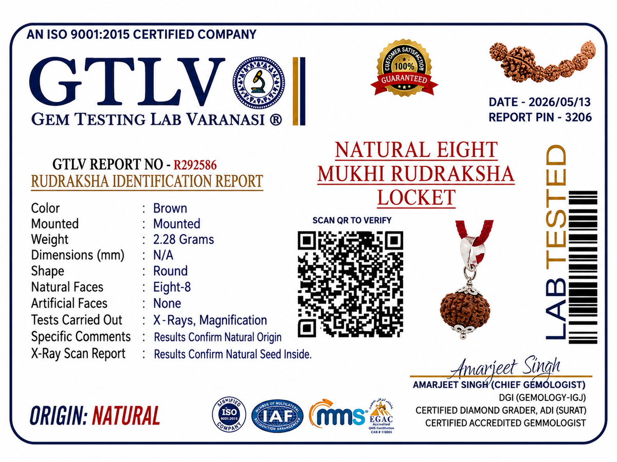 Natural 8 Mukhi Rudraksha Locket for Success, Protection & Obstacle Removal | Authentic & Energized | Rudriva